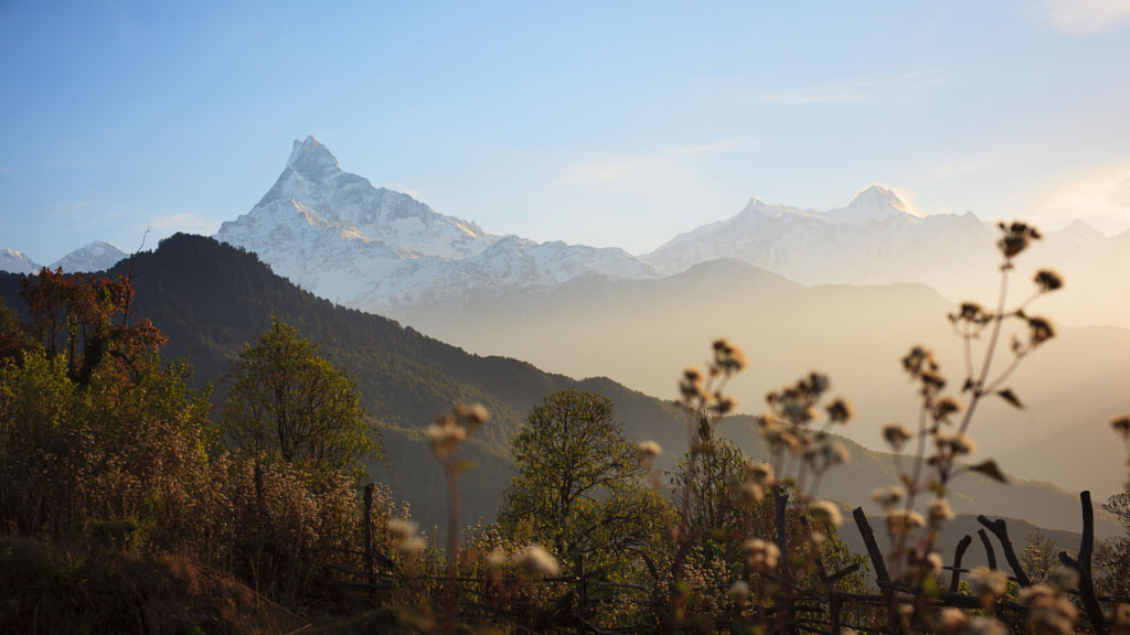 Amazing Sunrise of MT. Machapuchare (Fishtail) by Lau King on 500px.com