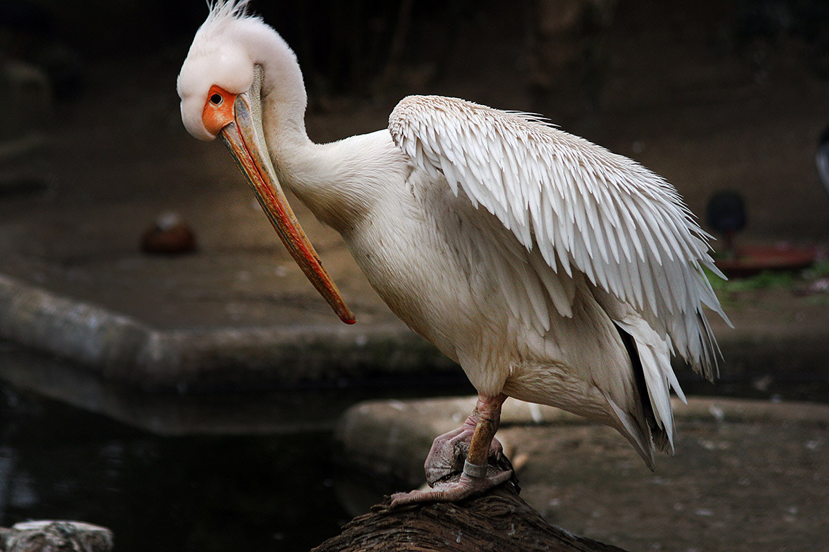 v2?sig=5f3ec1f7e1825fc2c76ea8c40955da59920c89943eae3b09c62685ebea6ba4fb