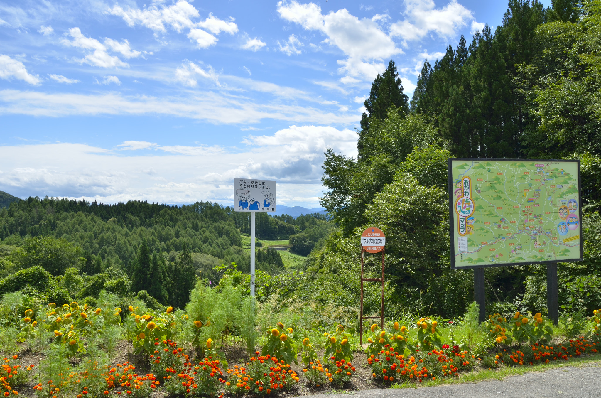 Beautiful bus stop(at 2644ft MSL)