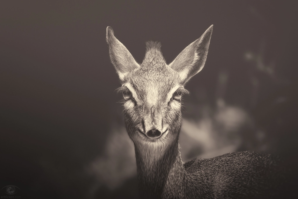 African souls: XIII by Manuela Kulpa on 500px.com