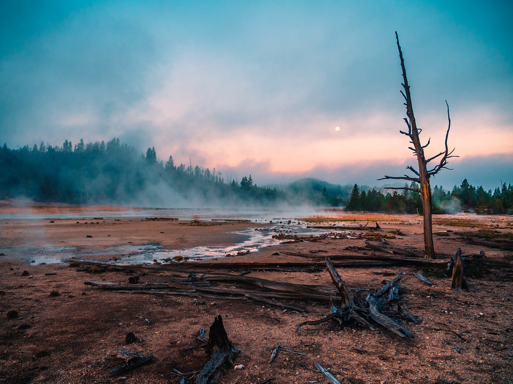 Norris Geyser Basin Sunrise, автор — Erik Hecht на 500px.com