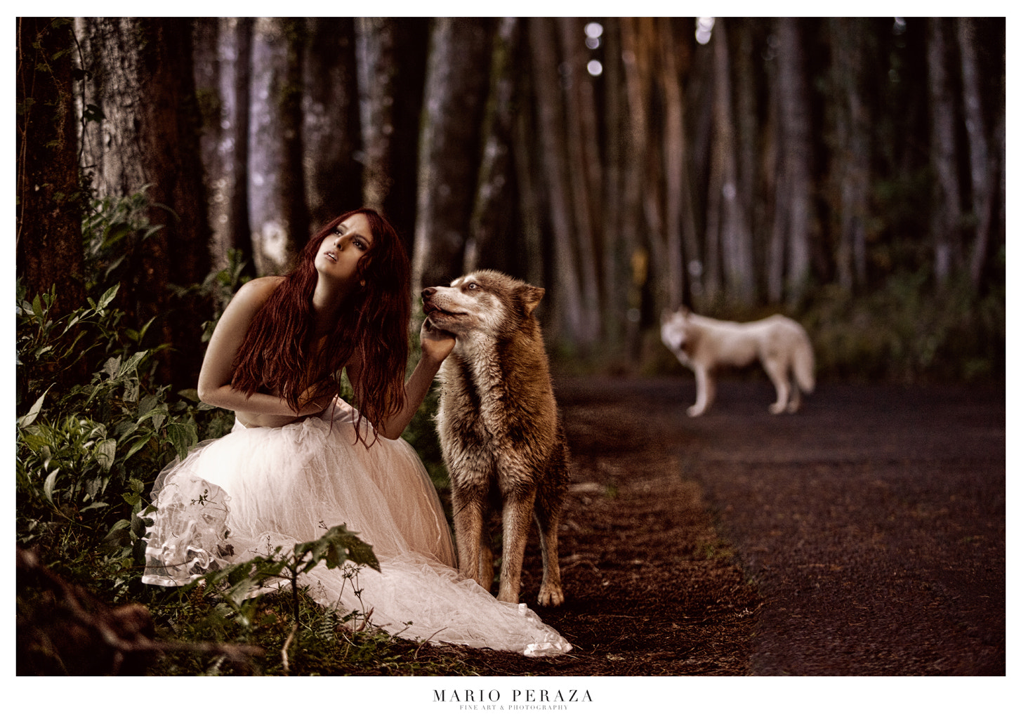 "The Queen of the Wolves" by Mario Peraza Photo 8113442 / 500px