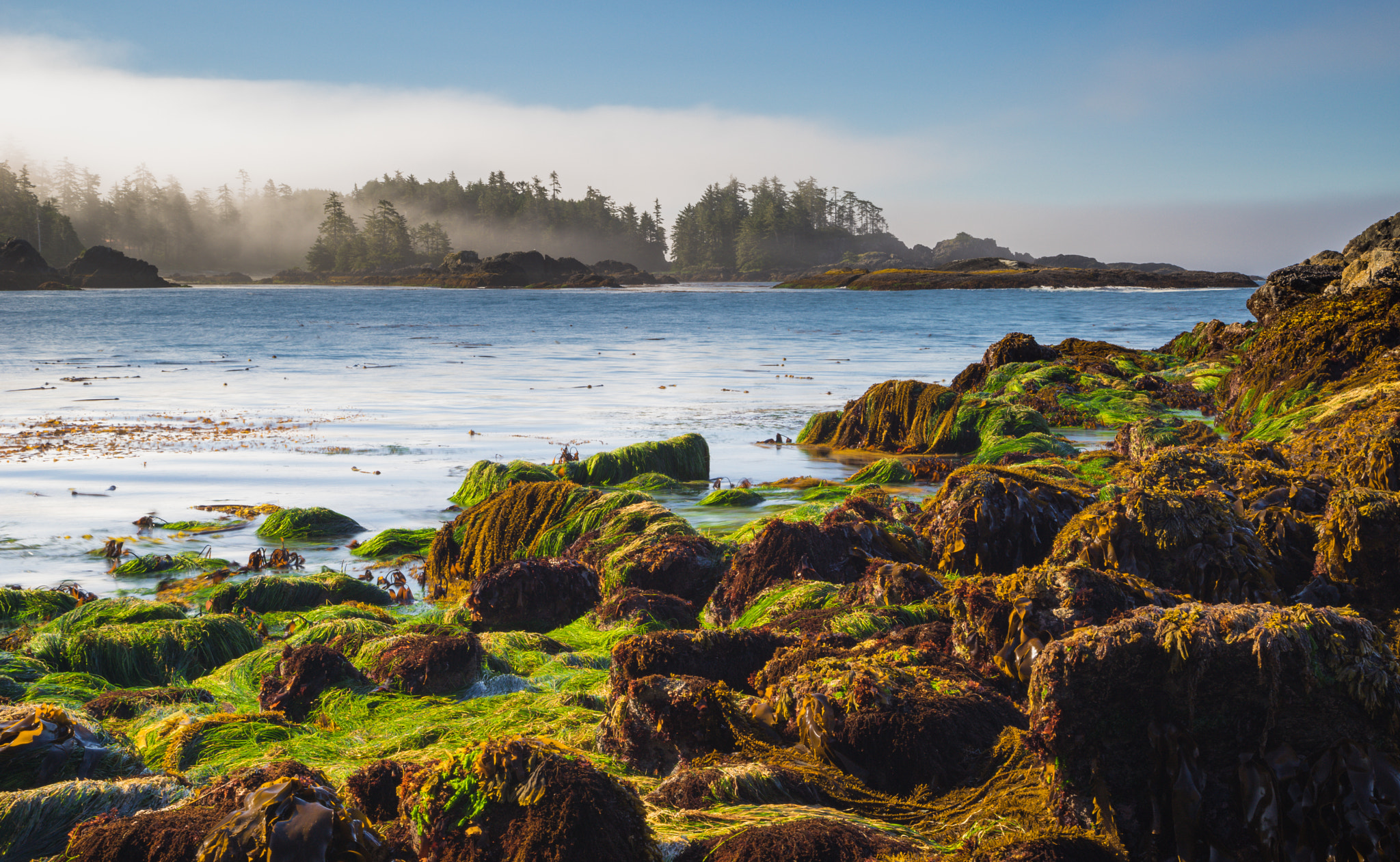 Vancouver Island