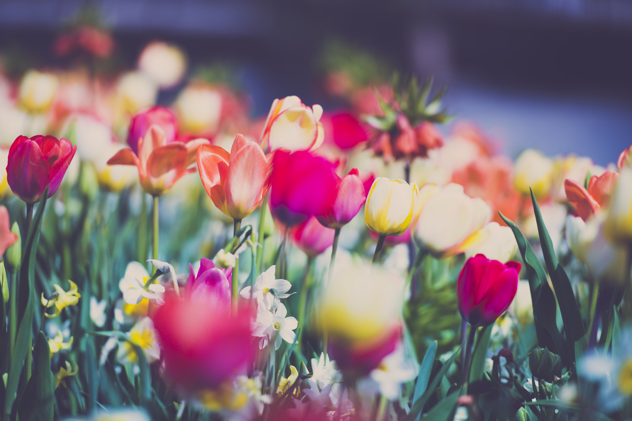 v2?sig=c3556a1f360801748adbb70b0a655833596ddc00915681a3b21046c3e24df169