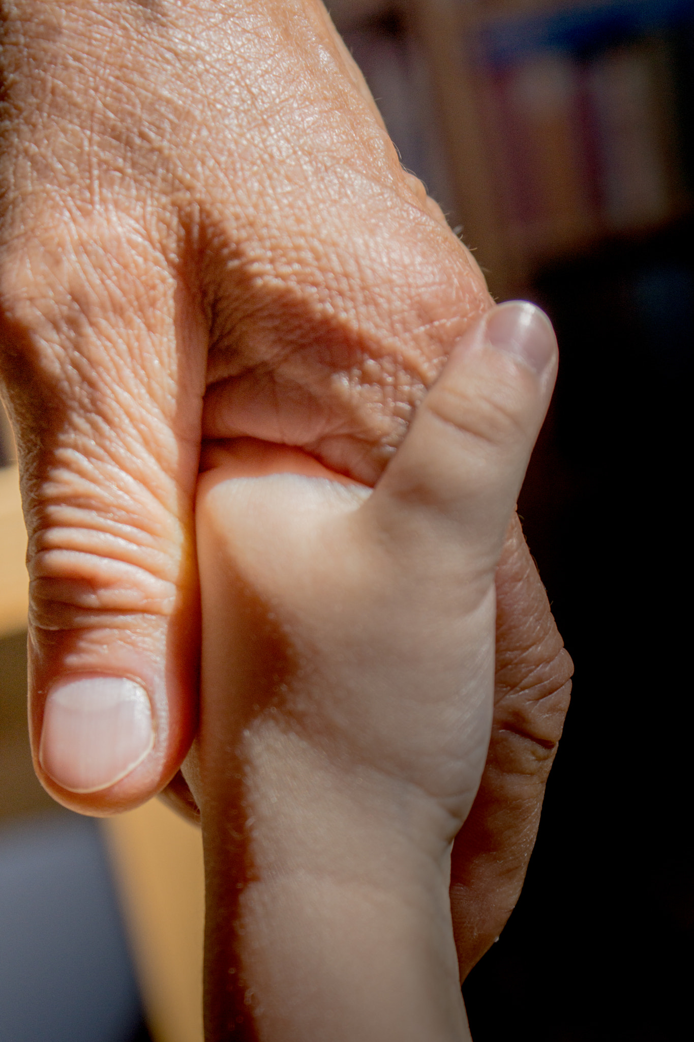 protection, support, love