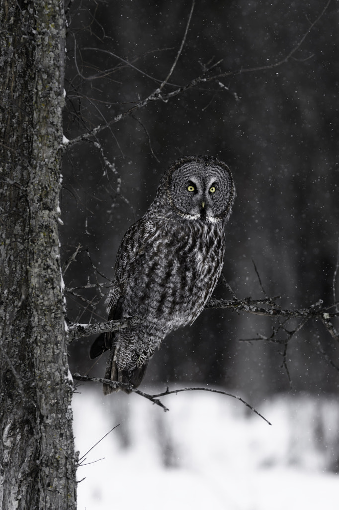 Even in the quietest moments... by Daniel Parent on 500px.com