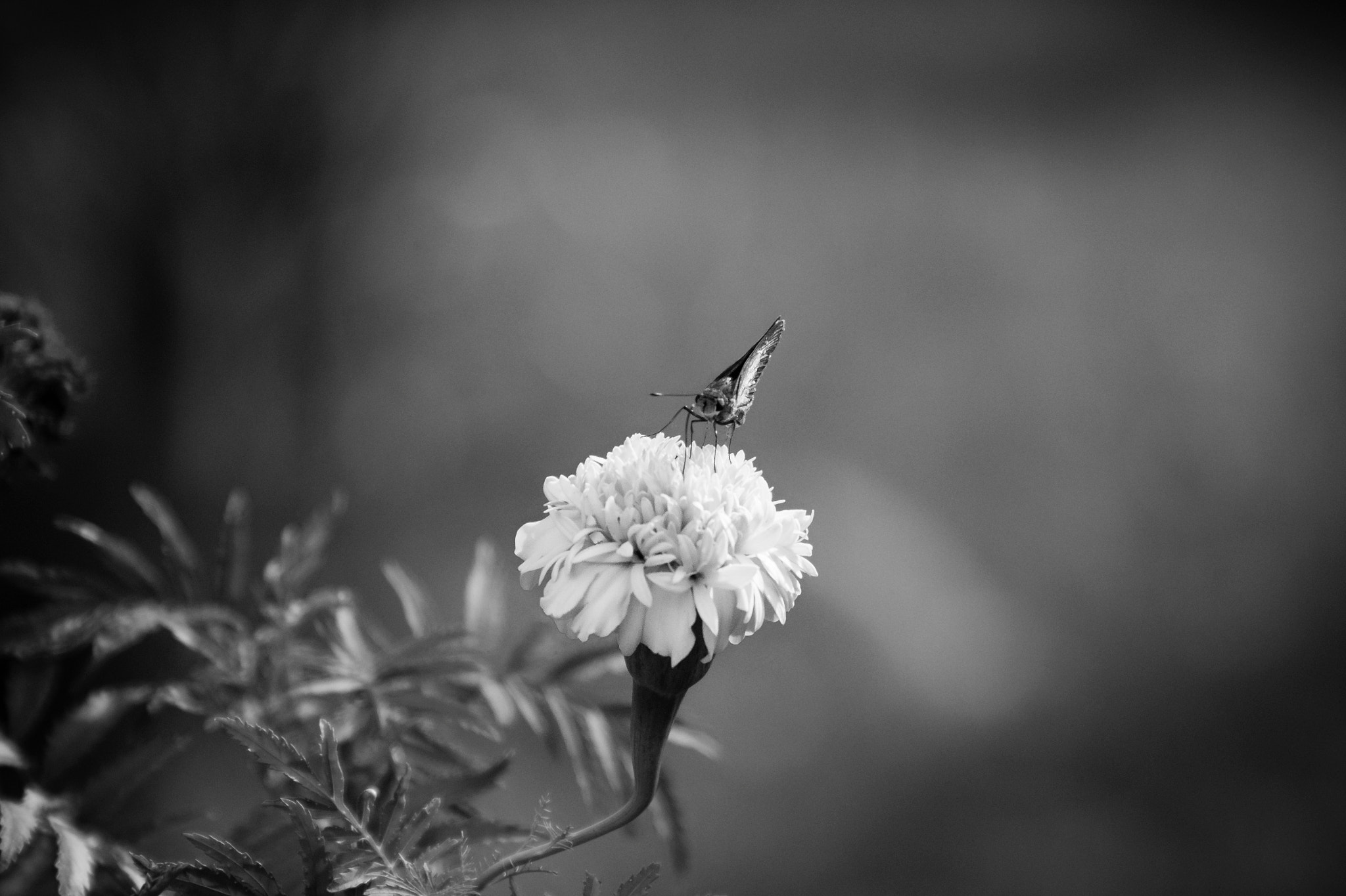 Finding