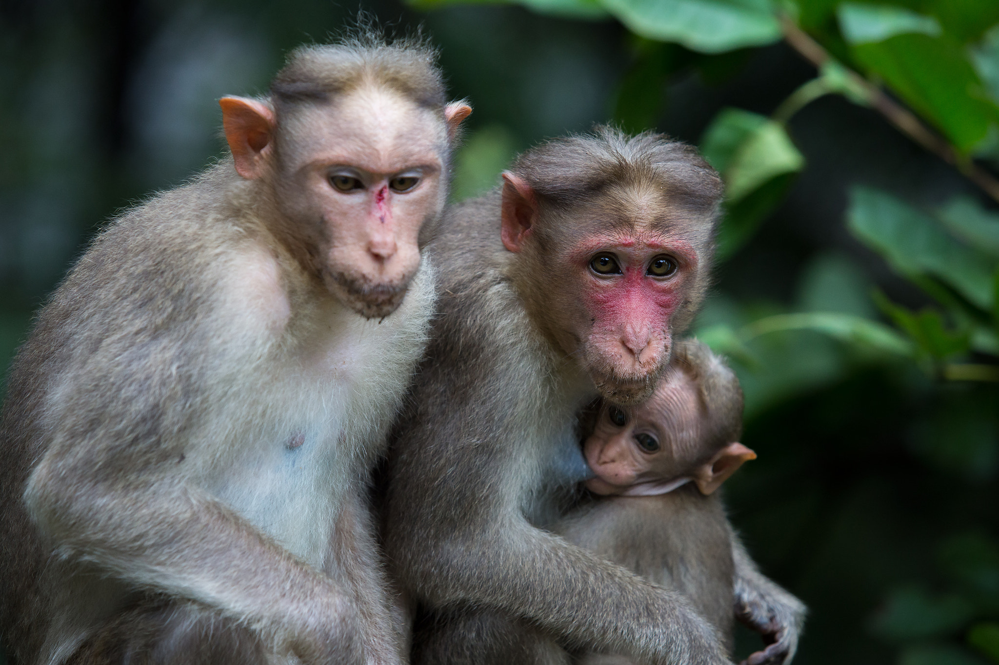 v2?sig=5defb4c3e84ff3d2e76b0441a0f08df07ebb2b37378ea88b4d0e4c0bebe51610