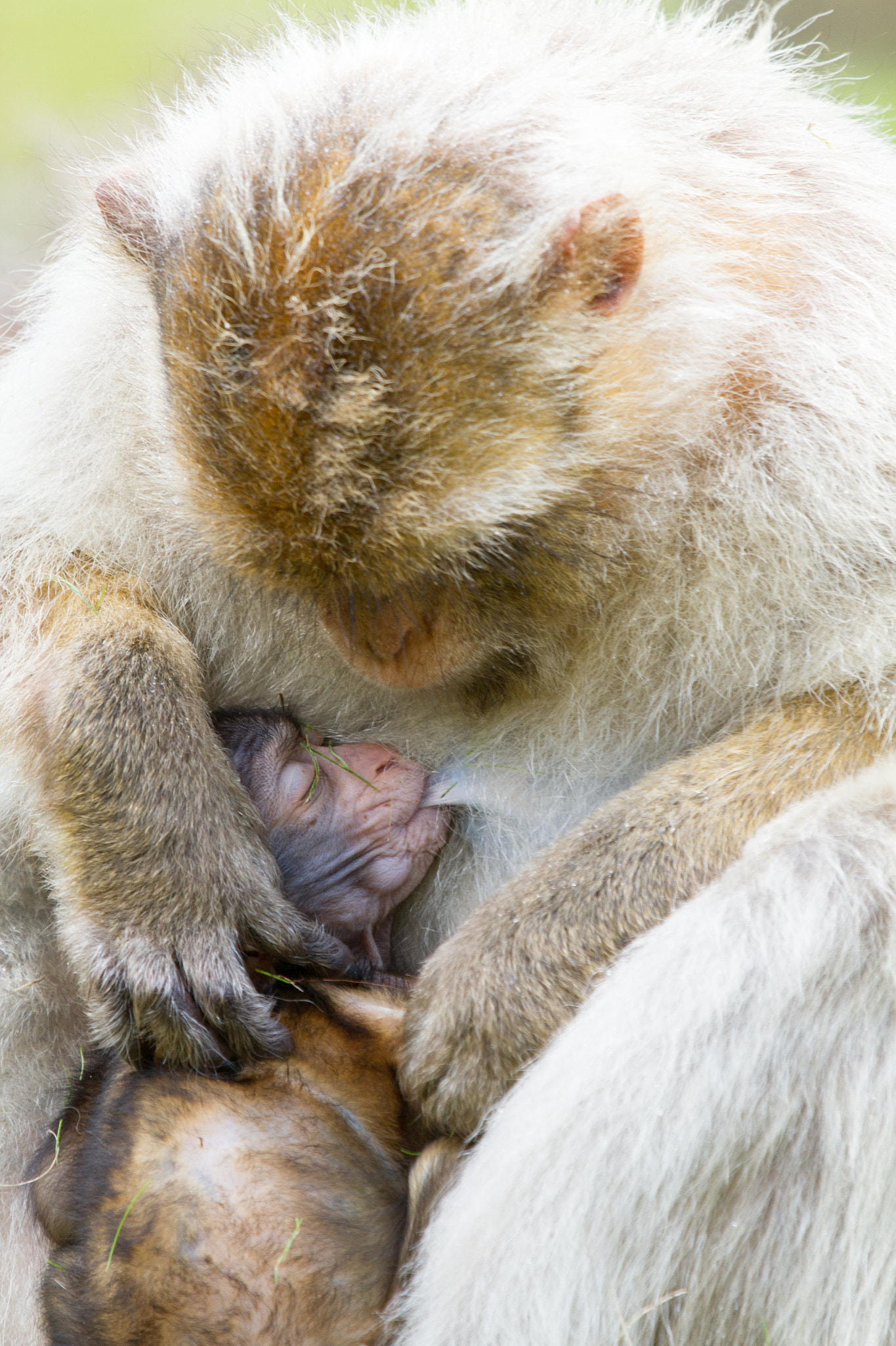 Mother and son