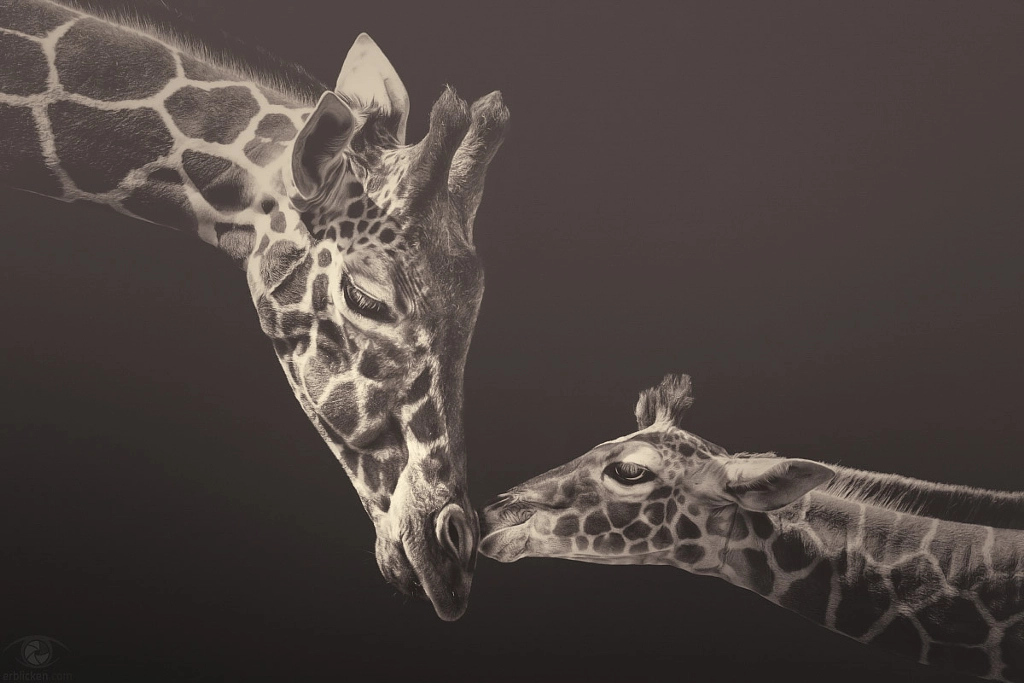 African souls: XIV by Manuela Kulpa on 500px.com