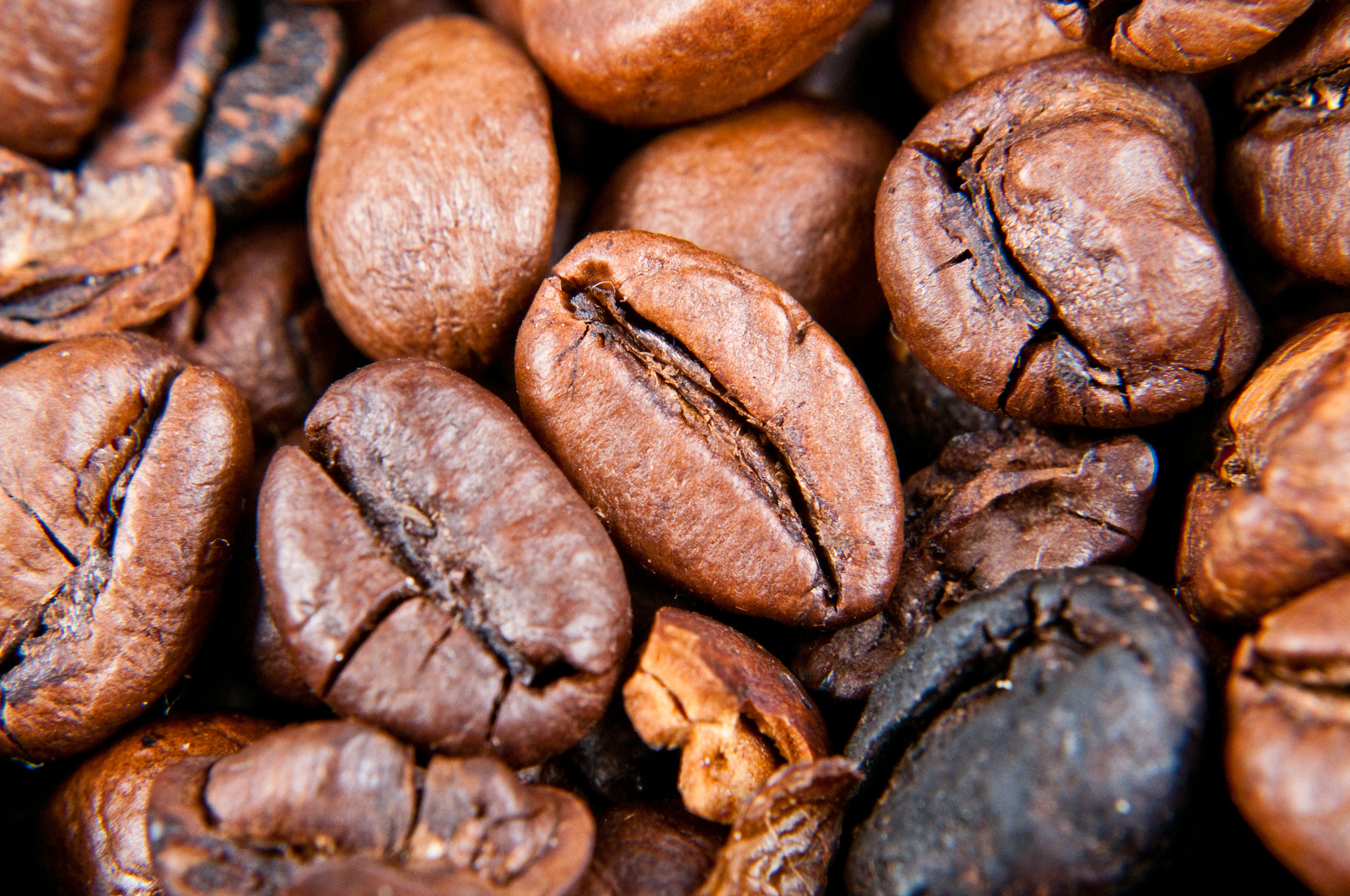 coffee beans close up