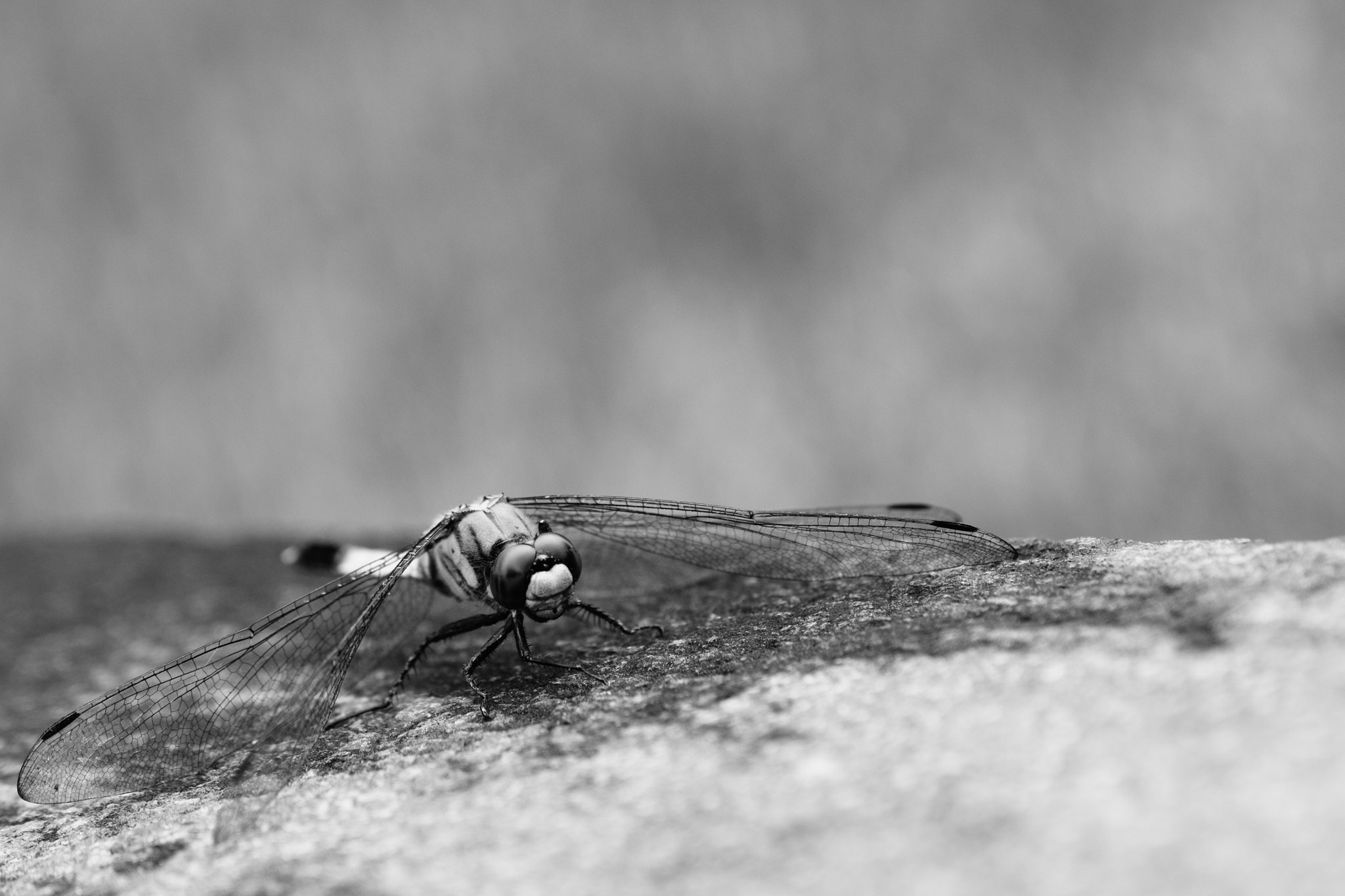 v2?sig=e72bab22f65cbe66d242d6c0c73ff2a241e136f1a9a77d744dbbe754d1048bb3