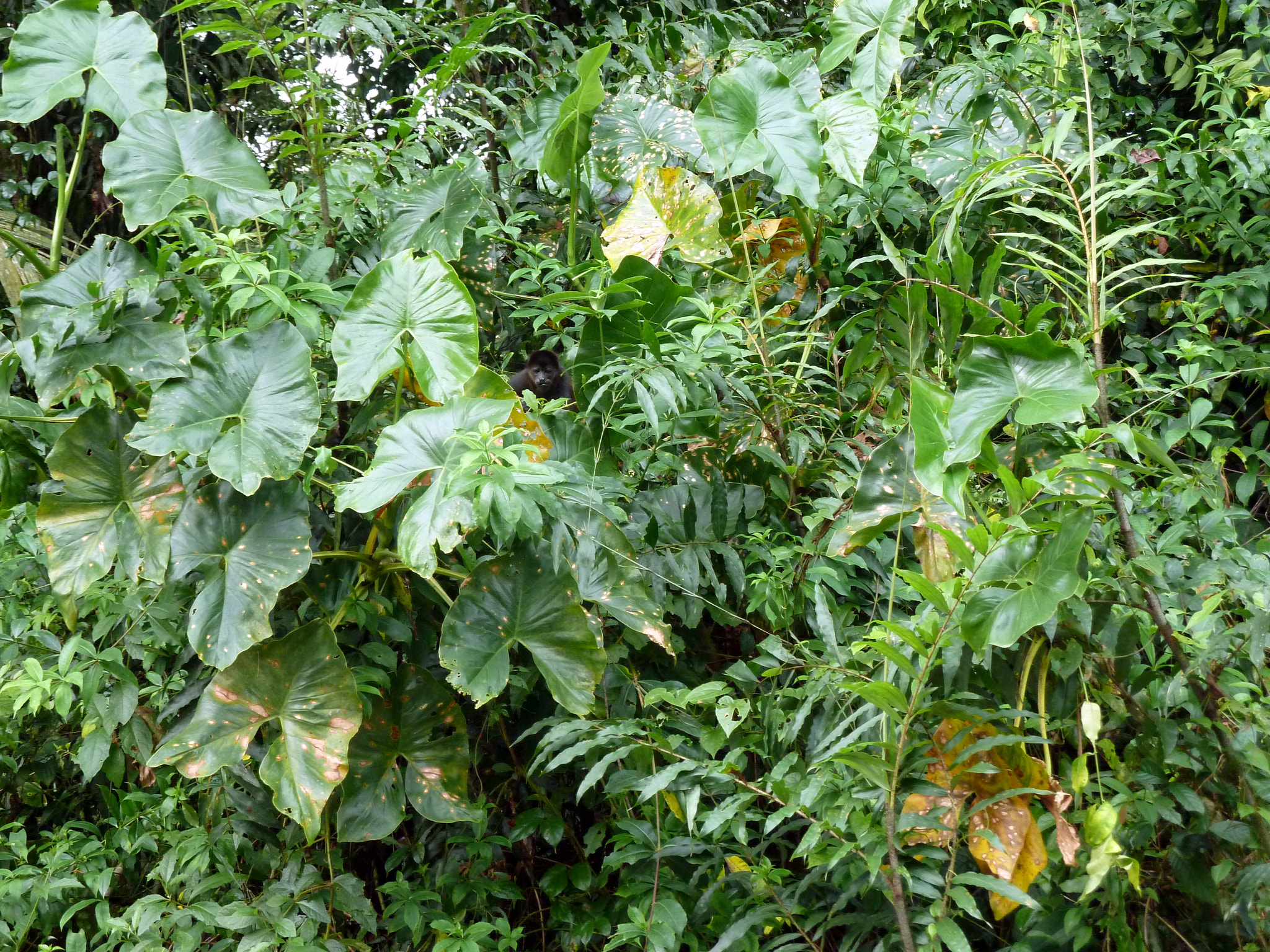 v2?sig=9e41cf95807b722a24139ed8d250de322adccacb2c471f077c4cec10febb009b