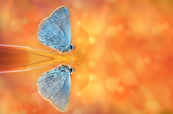 mirror by Detlef Knapp on 500px.com
