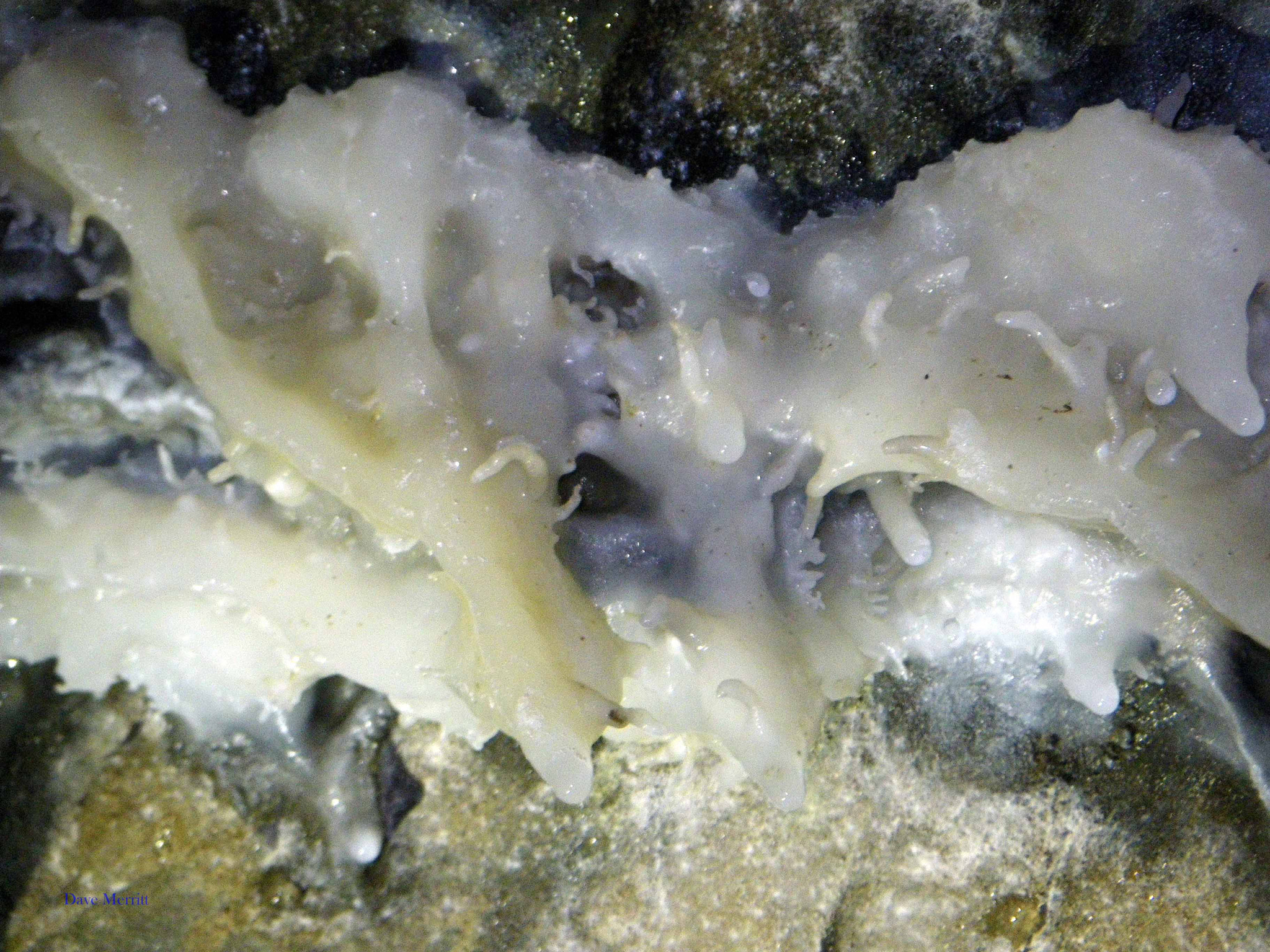 Pentax Optio W60 sample photo. Flow stone photography