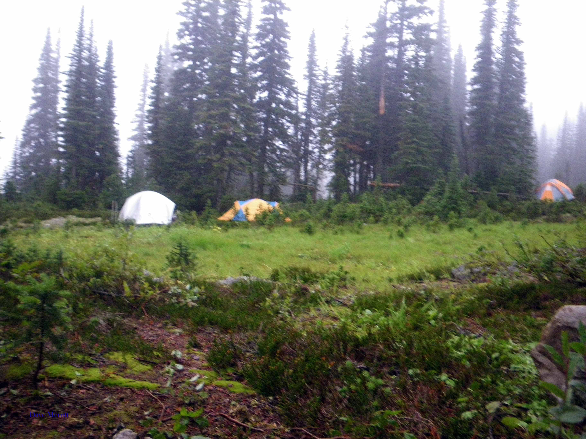 Pentax Optio W60 sample photo. Foggy camp photography