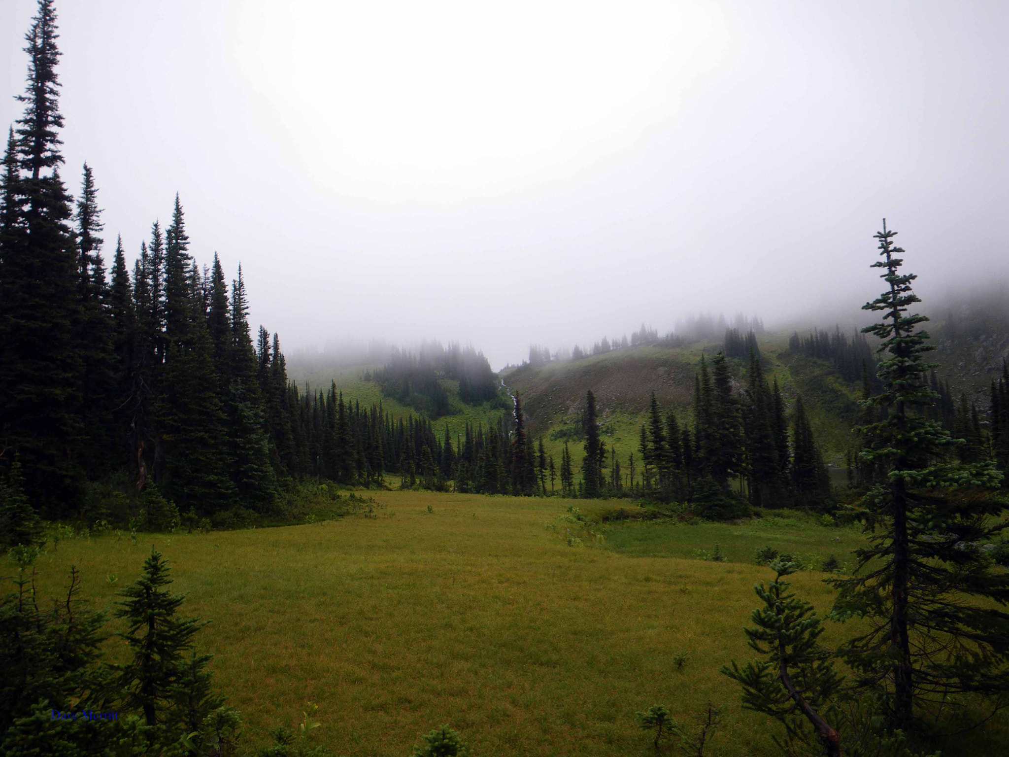 Pentax Optio W60 sample photo. Alpine meadows photography