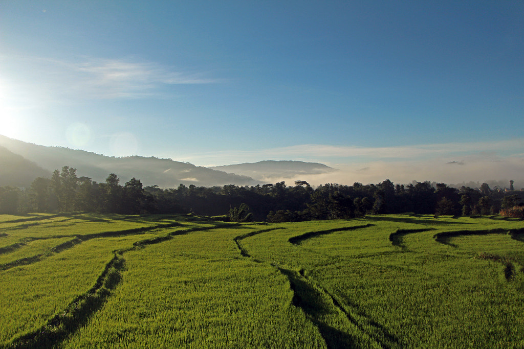 Agriculture by Bidur Shiwakoti on 500px.com