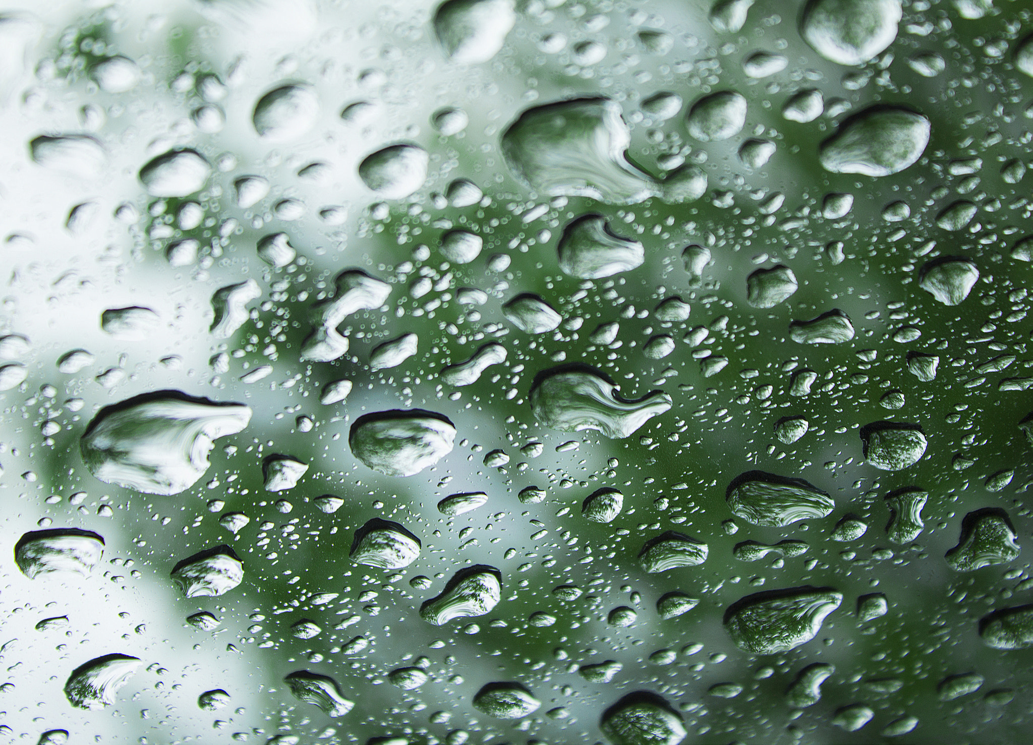 It's raining ...