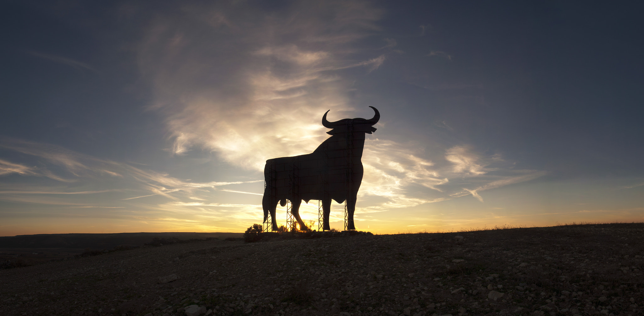 toro