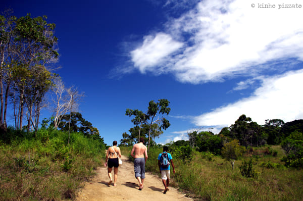 Nice Weather For A Walk