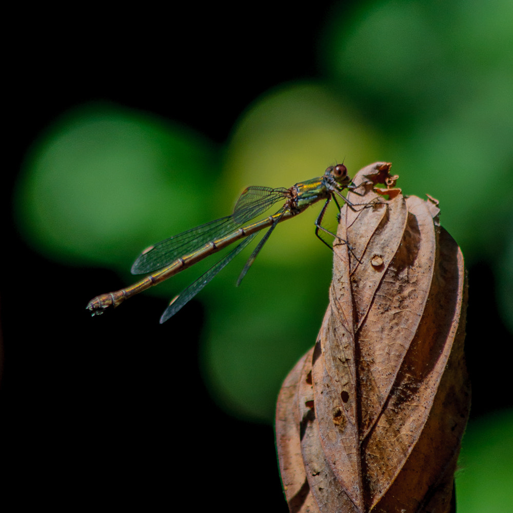 v2?sig=829ee1dfb0b105dd651ffd12597e7f9a4b58391286b05251b03f219be547efca