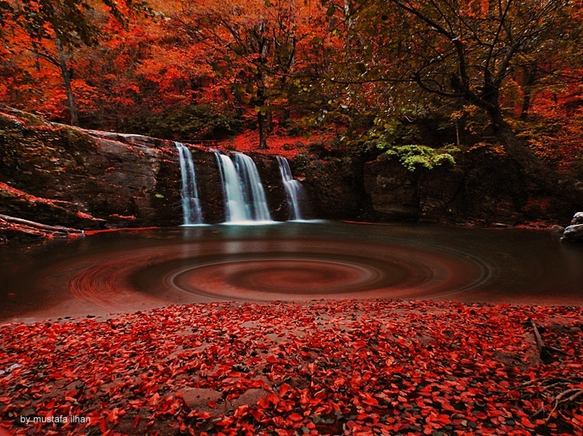 Red Autumn by Mustafa ILHAN on 500px.com