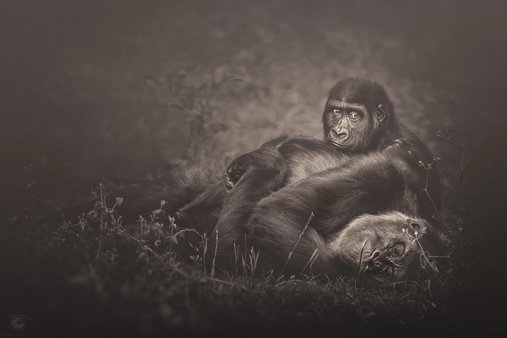 African souls: XV by Manuela Kulpa on 500px.com