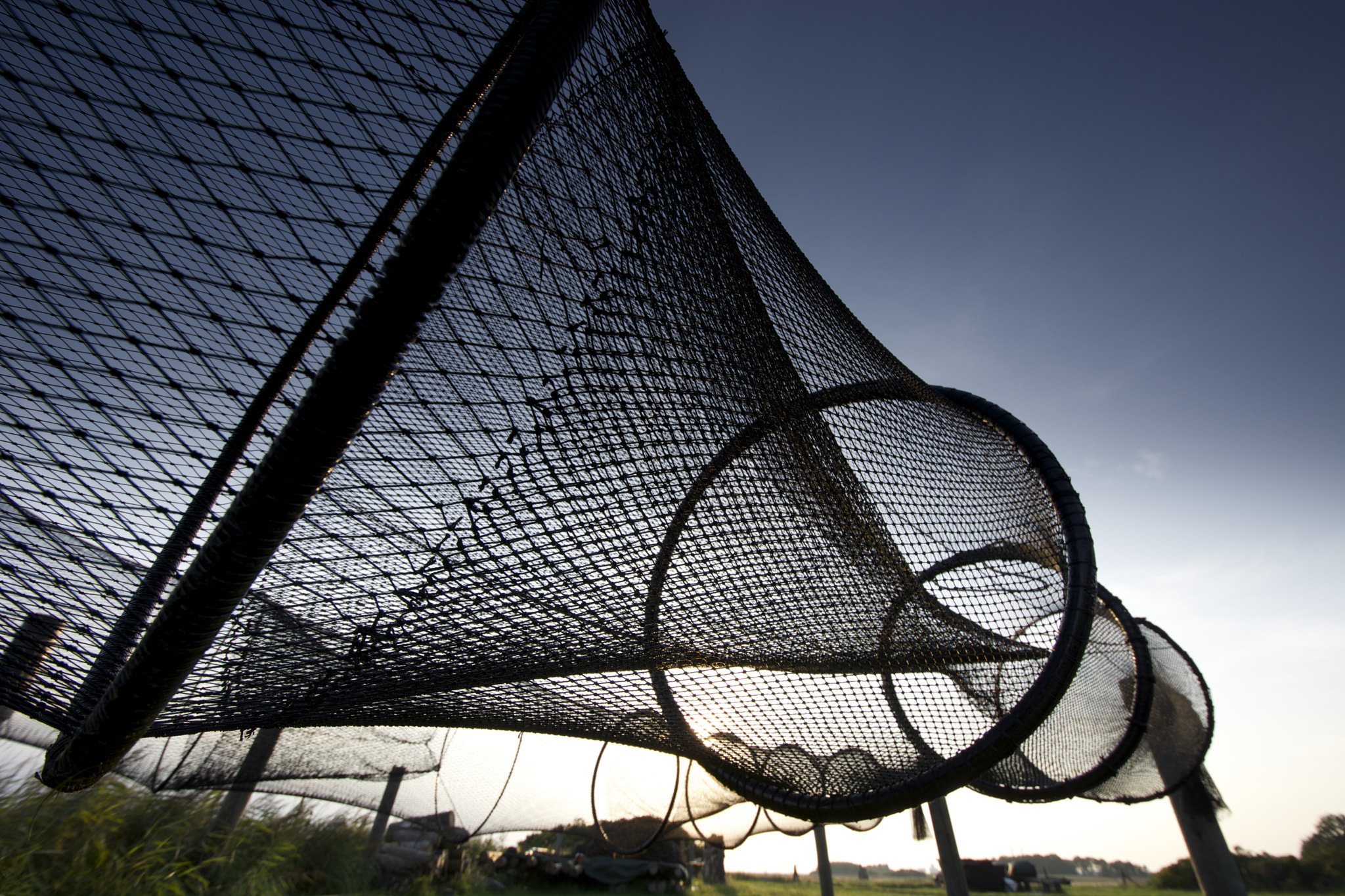 Fishing net