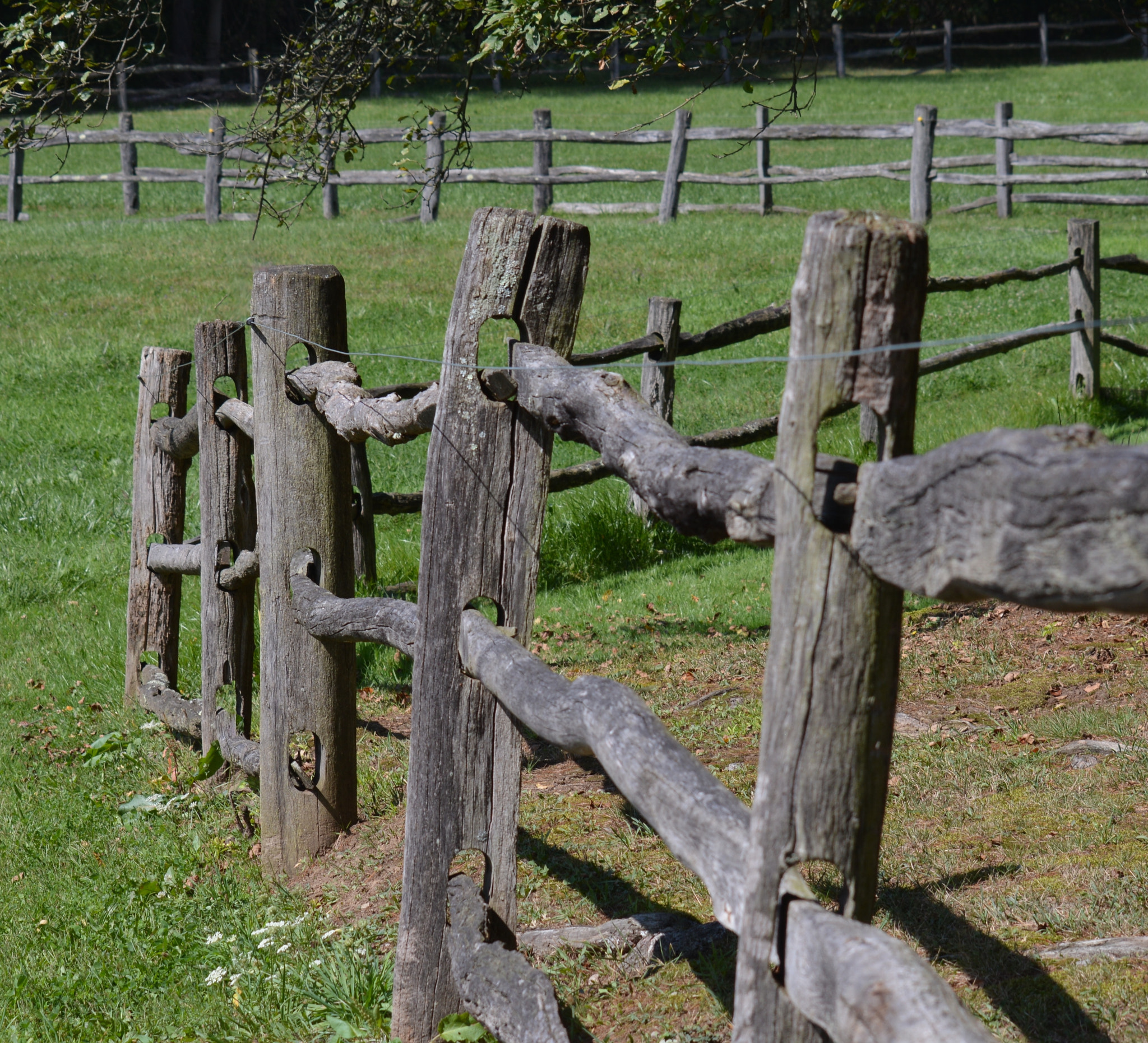 OLD HORSE FENCES GOING IN EVERY DIRECTION