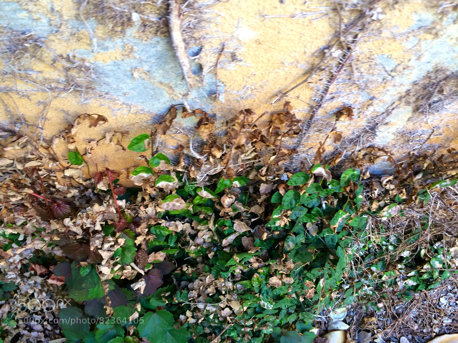 Apple iPhone 5s sample photo. Untitled photography