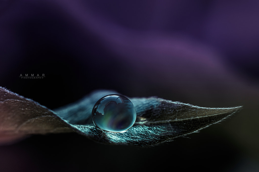 Colored Drop by Ammar Al-Ameen on 500px.com