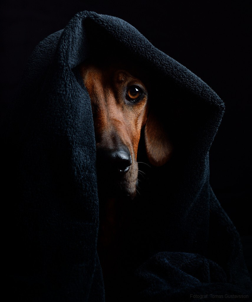 Under my blanket