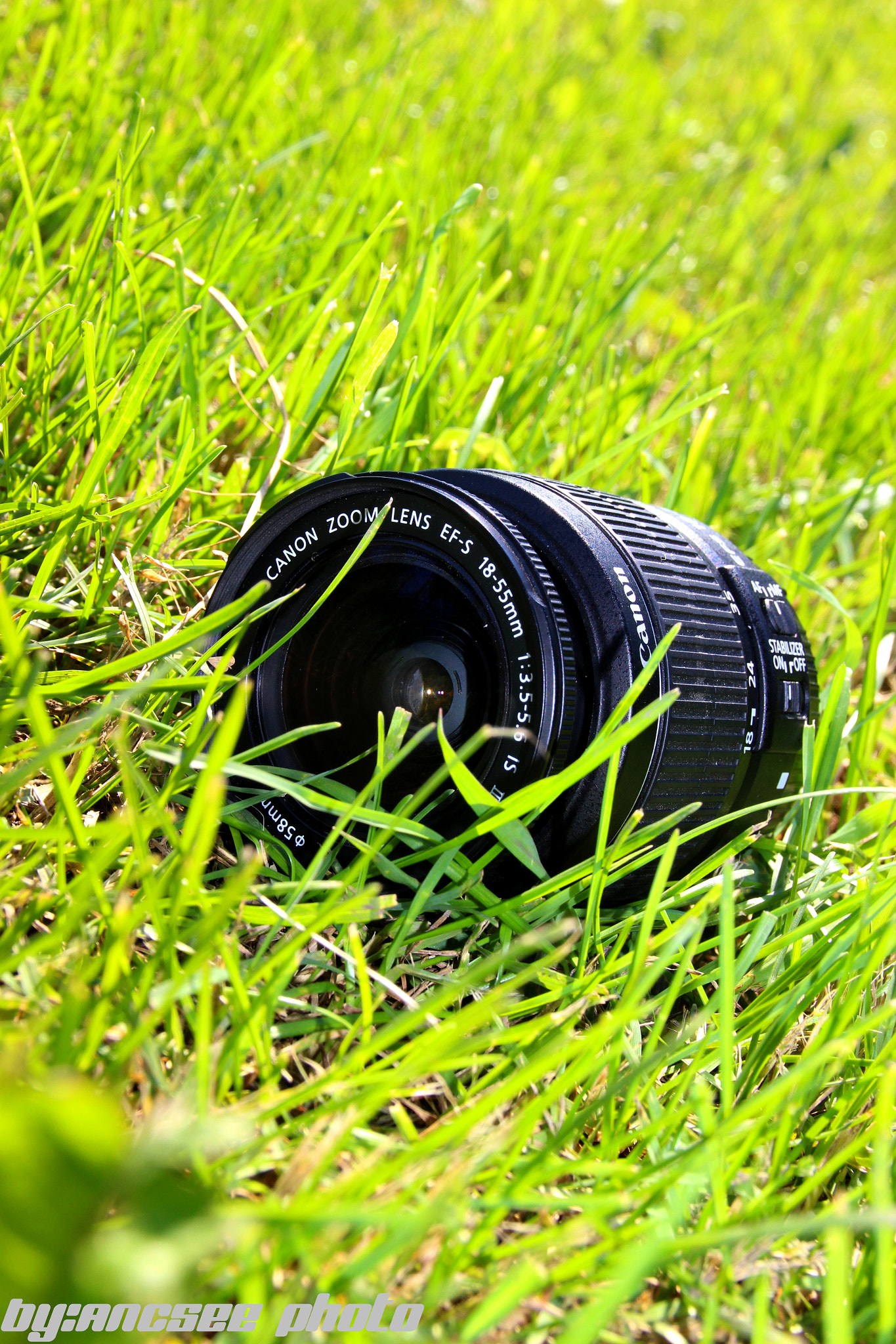 Canon EF 70-200mm F2.8L IS USM sample photo. [] photography