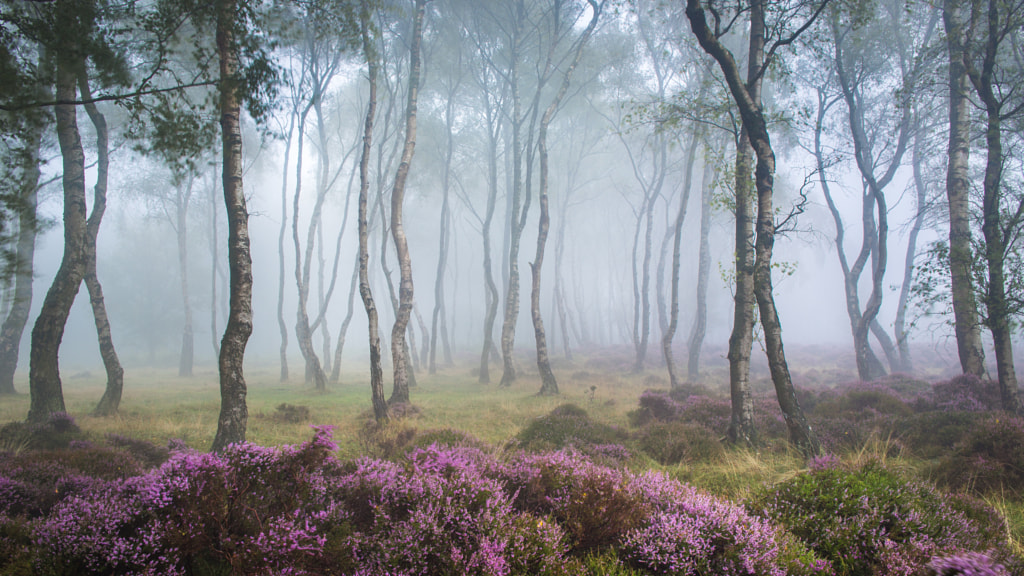 Misty Stanton by James Mills on 500px.com