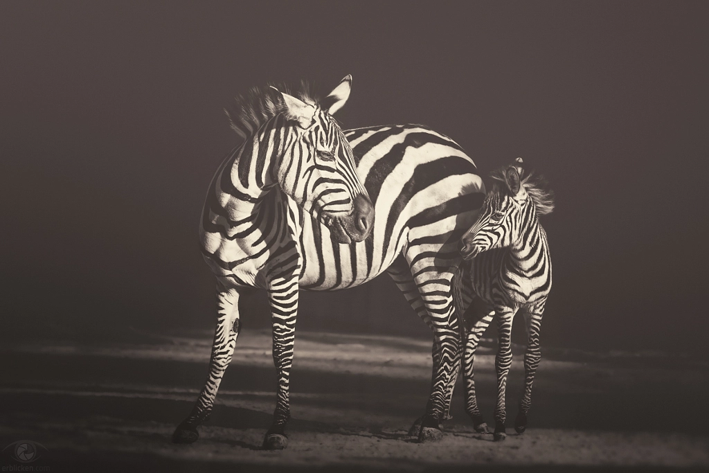 African souls: XVI by Manuela Kulpa on 500px.com