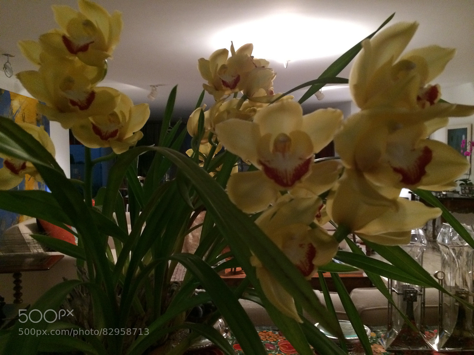Apple iPhone 5s sample photo. Untitled photography