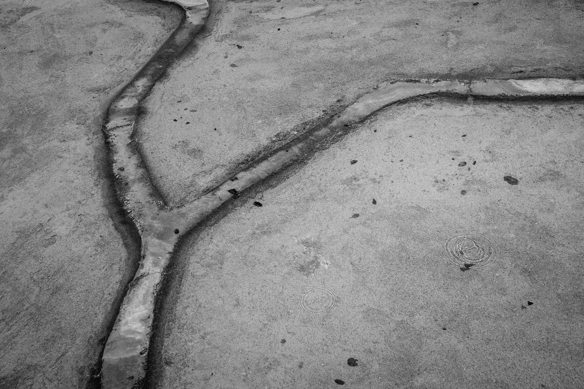 Pathways
