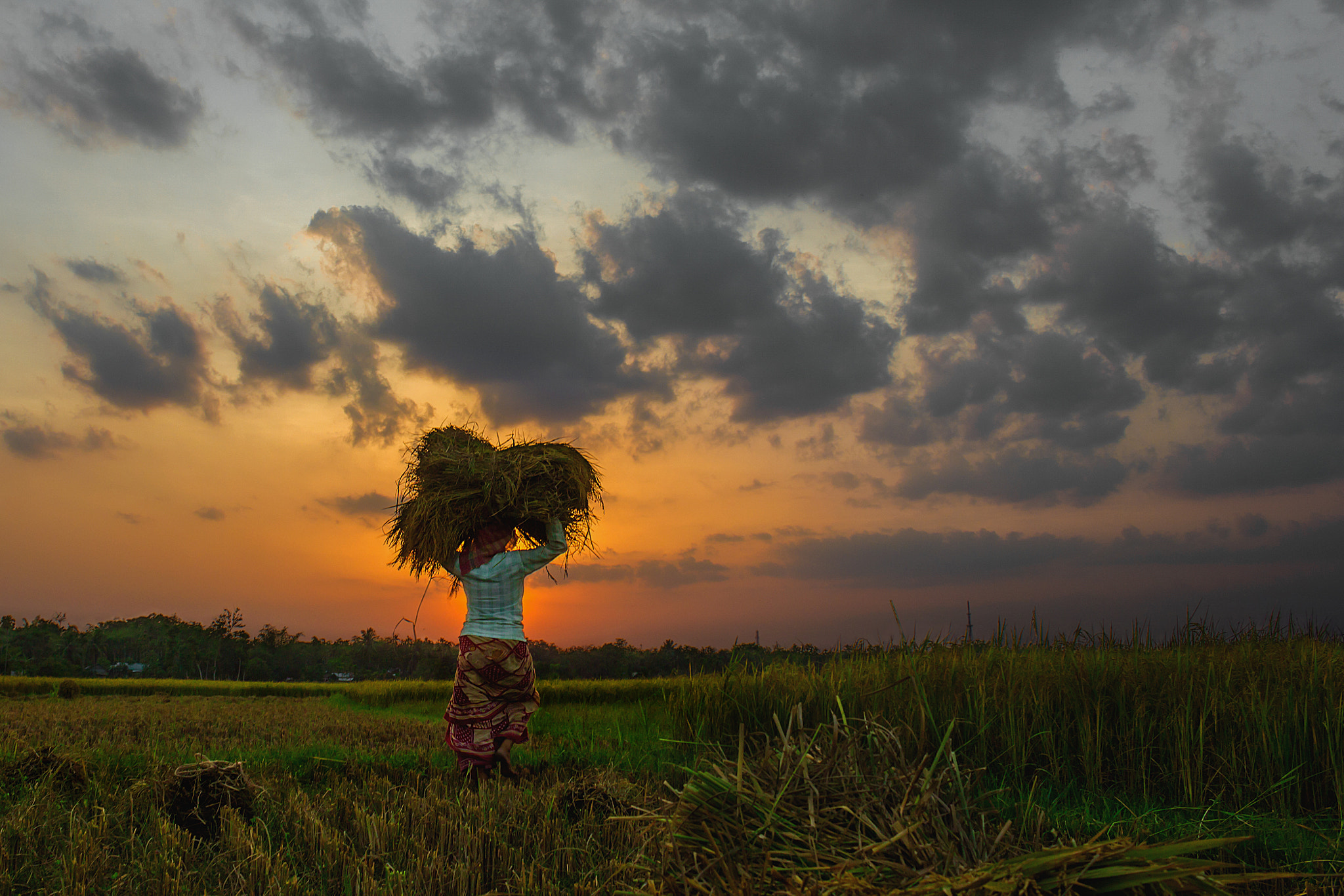 From the fields