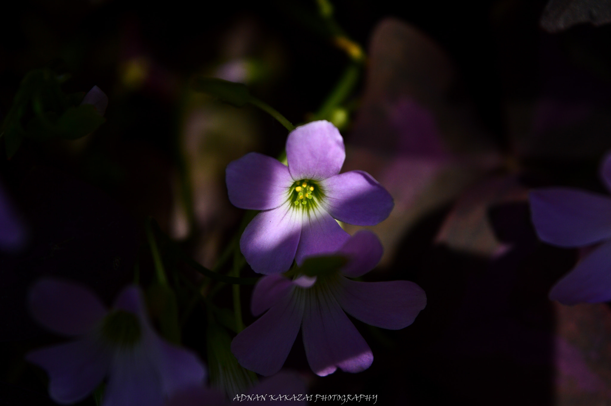A ray of light...