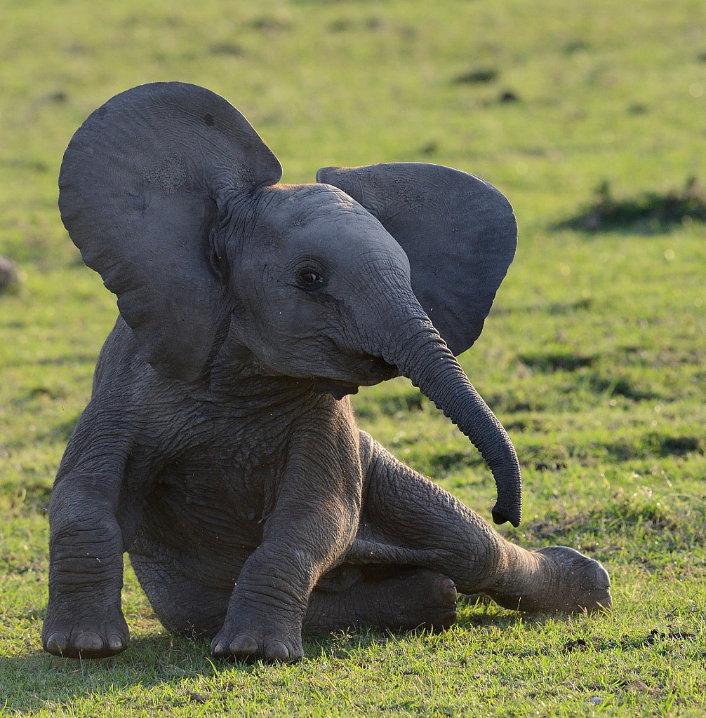 Do I look pretty ? by Barbara Arstall on 500px.com