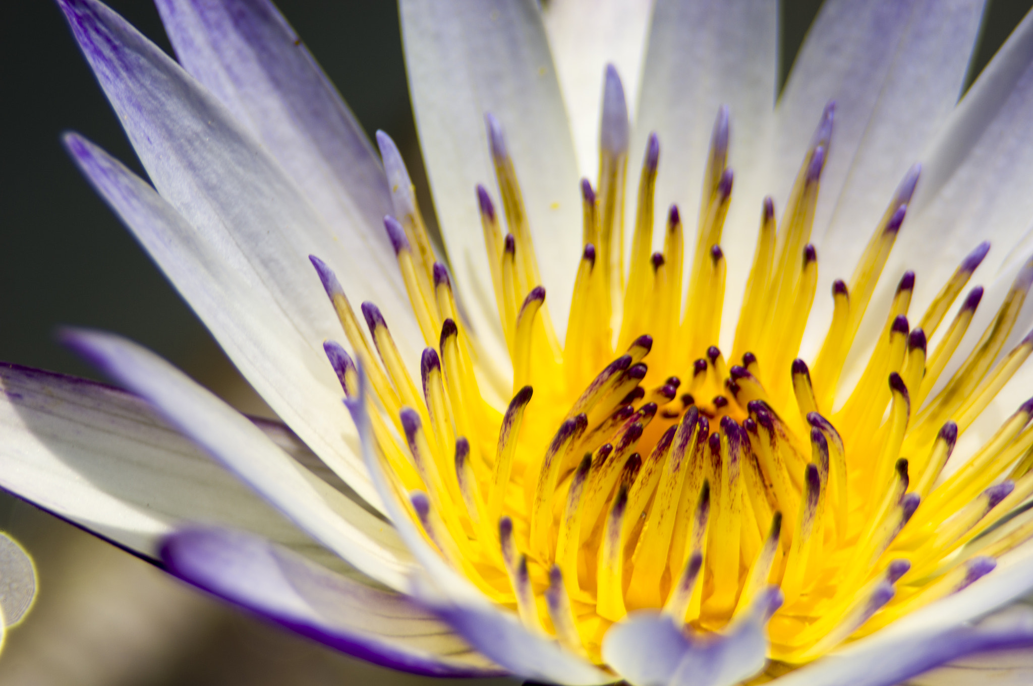 I feel so comfortable