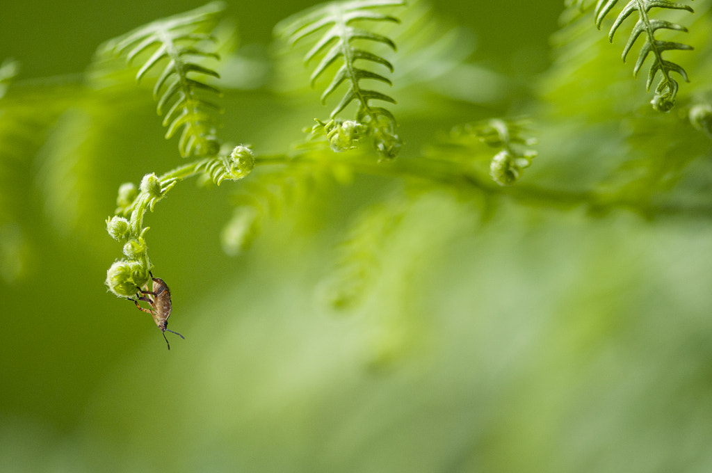 Stretching by Valérie Tirard on 500px.com