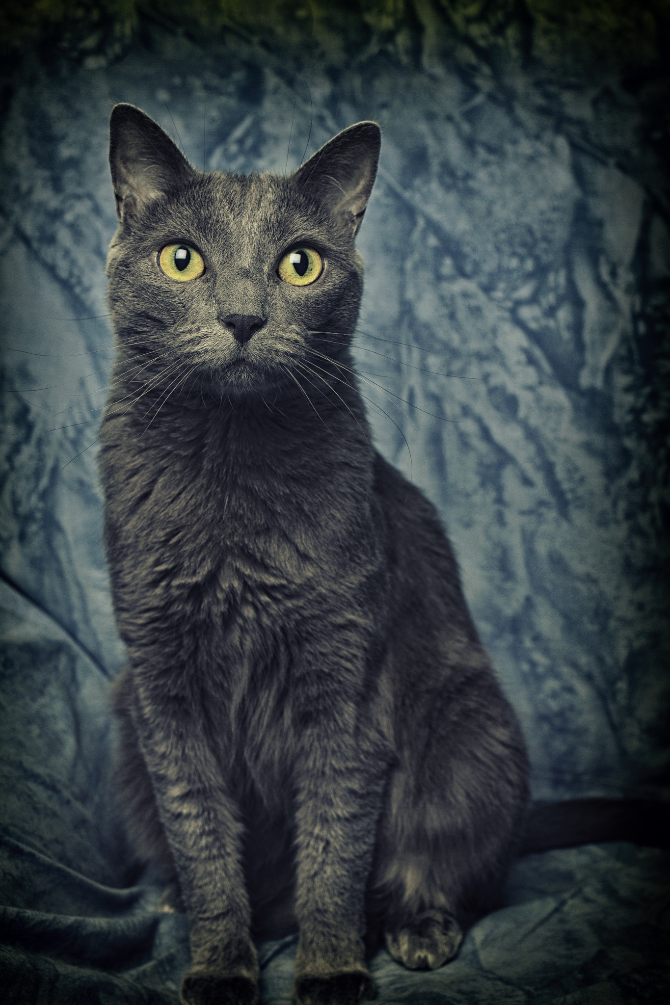 Lila