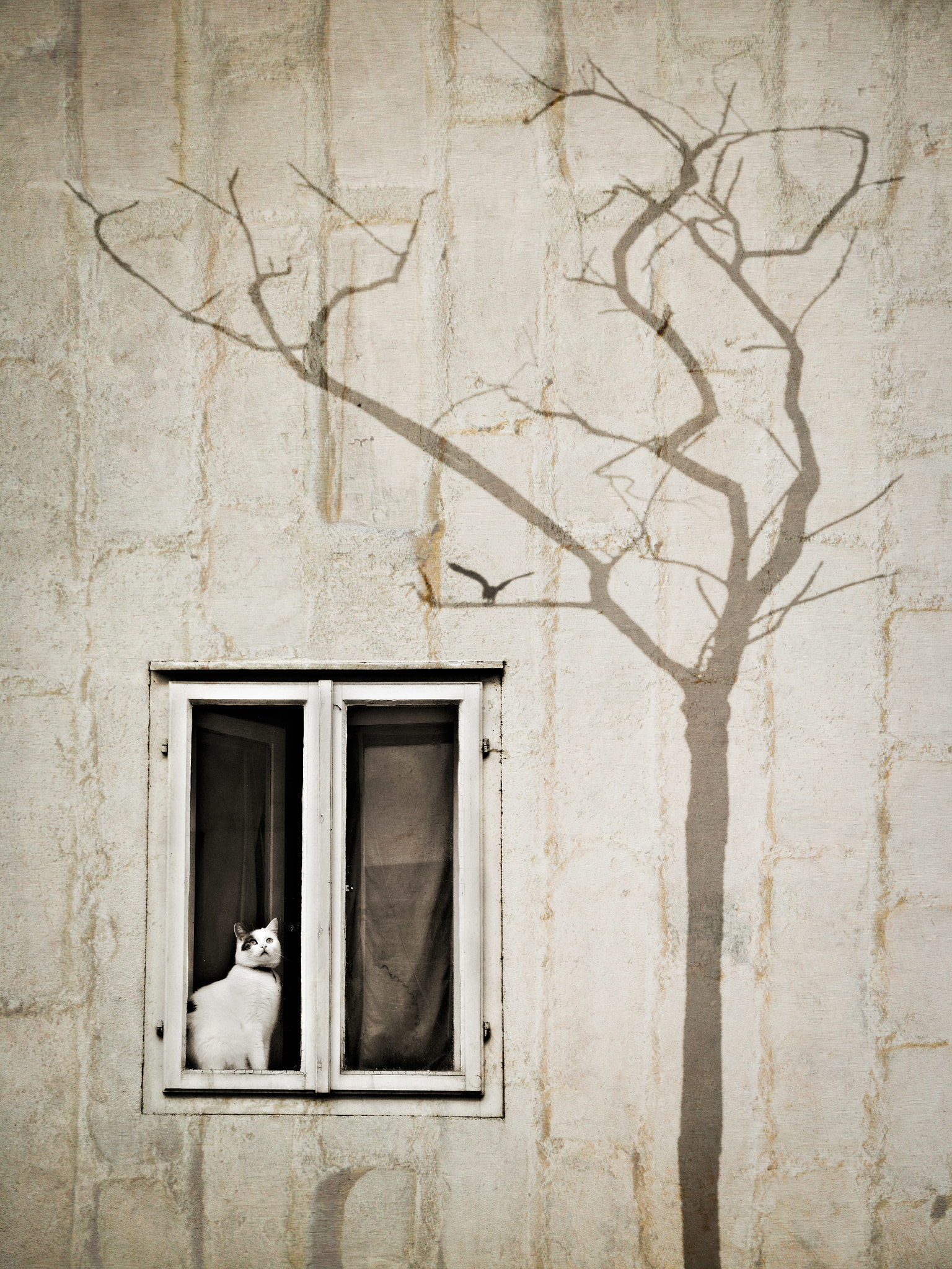 Waiting I.