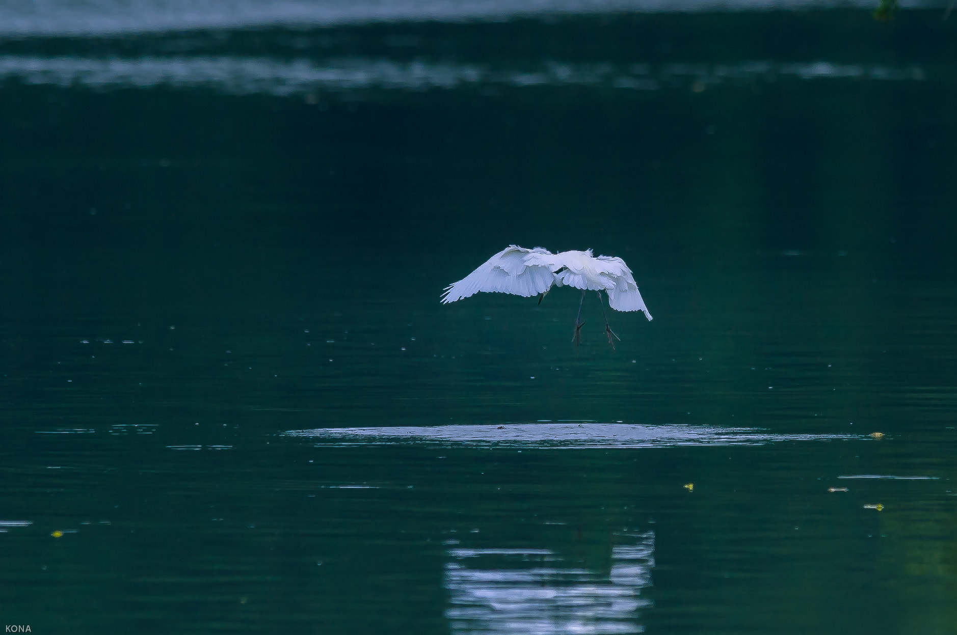Nikon AF-S Nikkor 400mm F2.8G ED VR II sample photo. Sagi photography