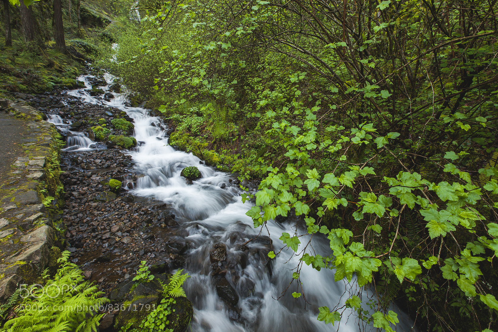 Canon EOS 5D Mark II sample photo. Untitled photography
