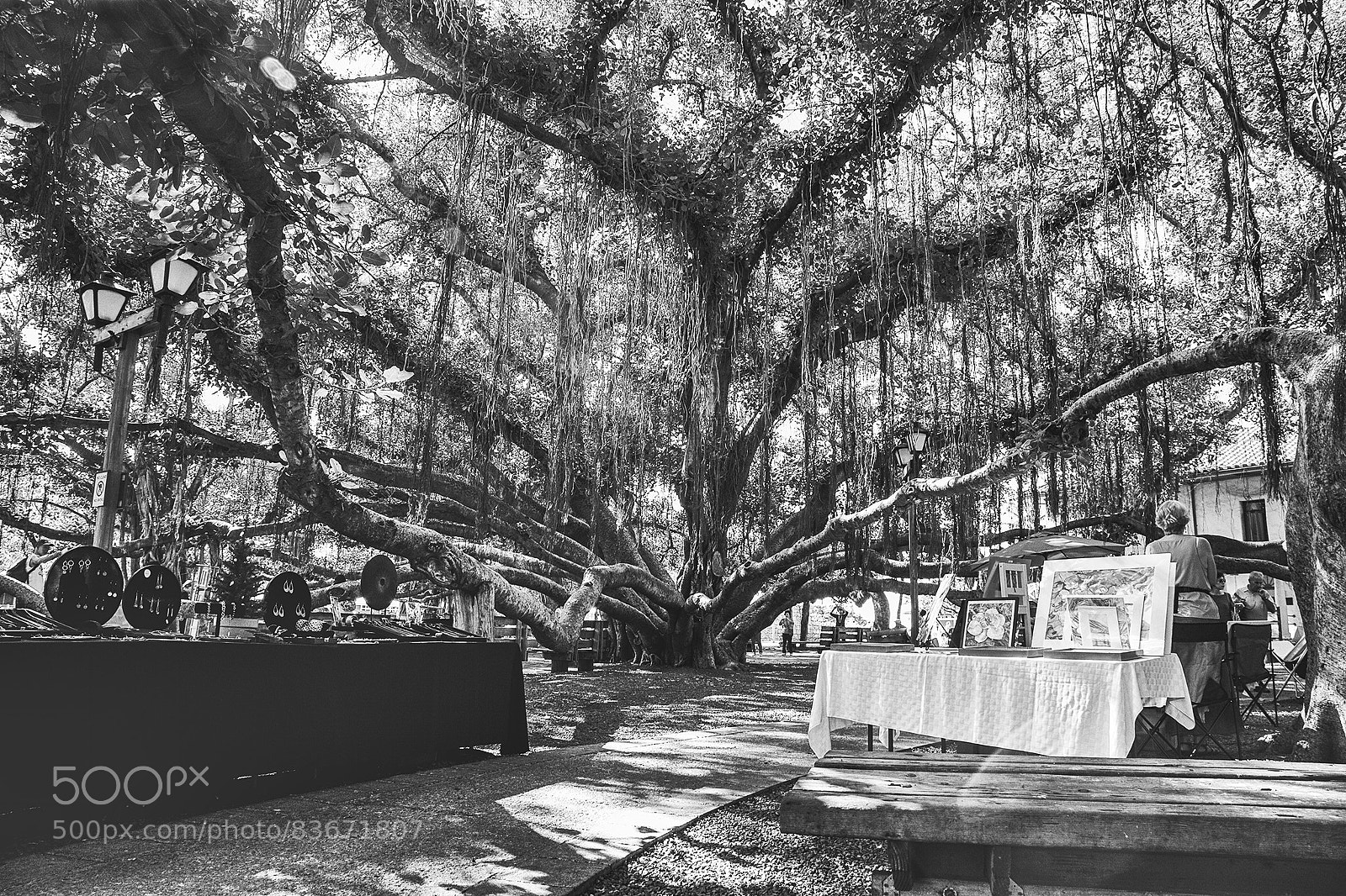 Canon EOS 5D Mark II sample photo. Untitled photography