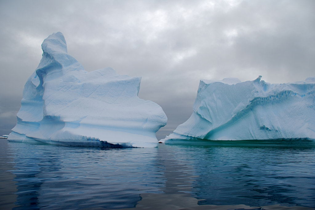 Blue Icebergs by tim wege on 500px.com