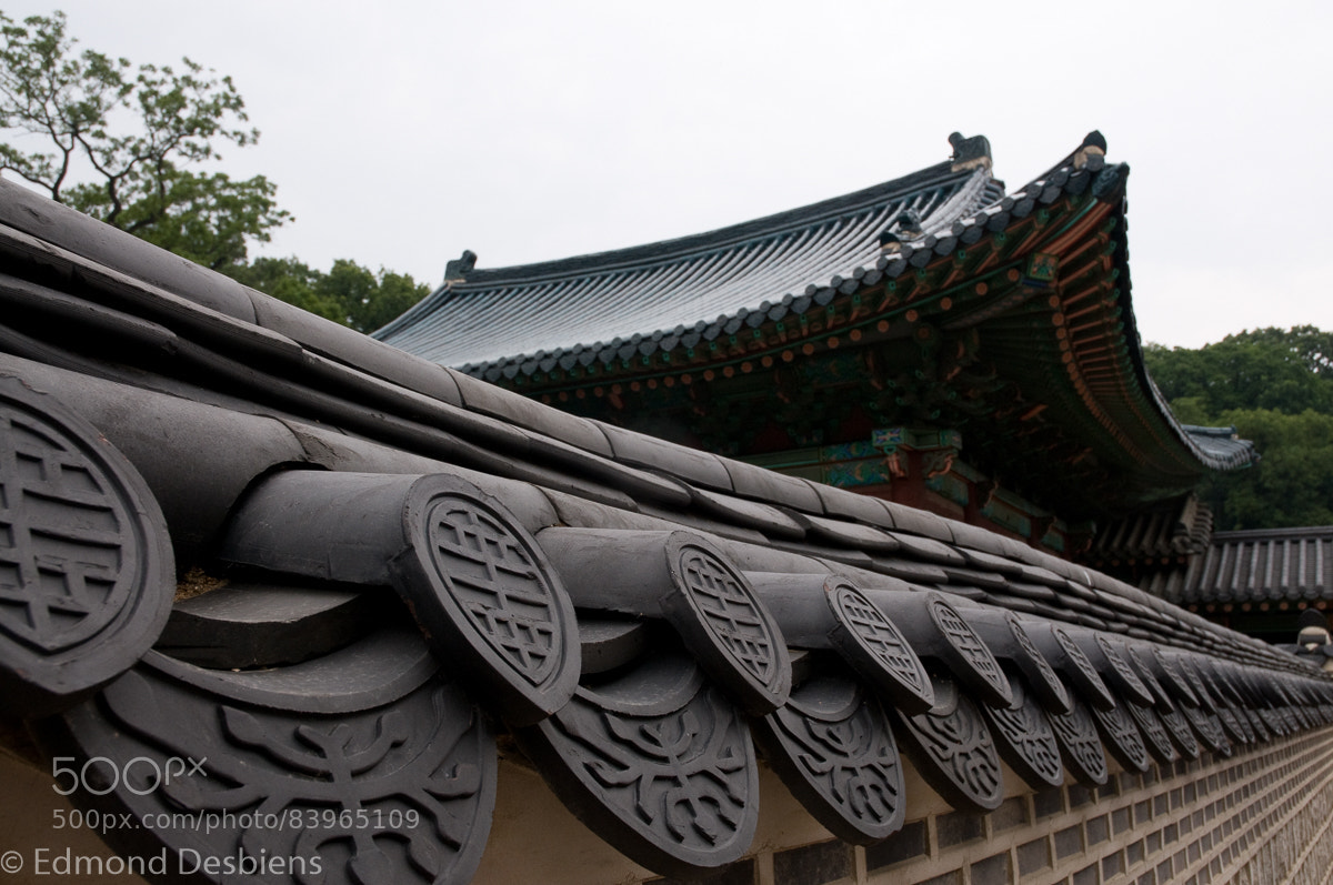 Nikon D300 sample photo. Roof line photography